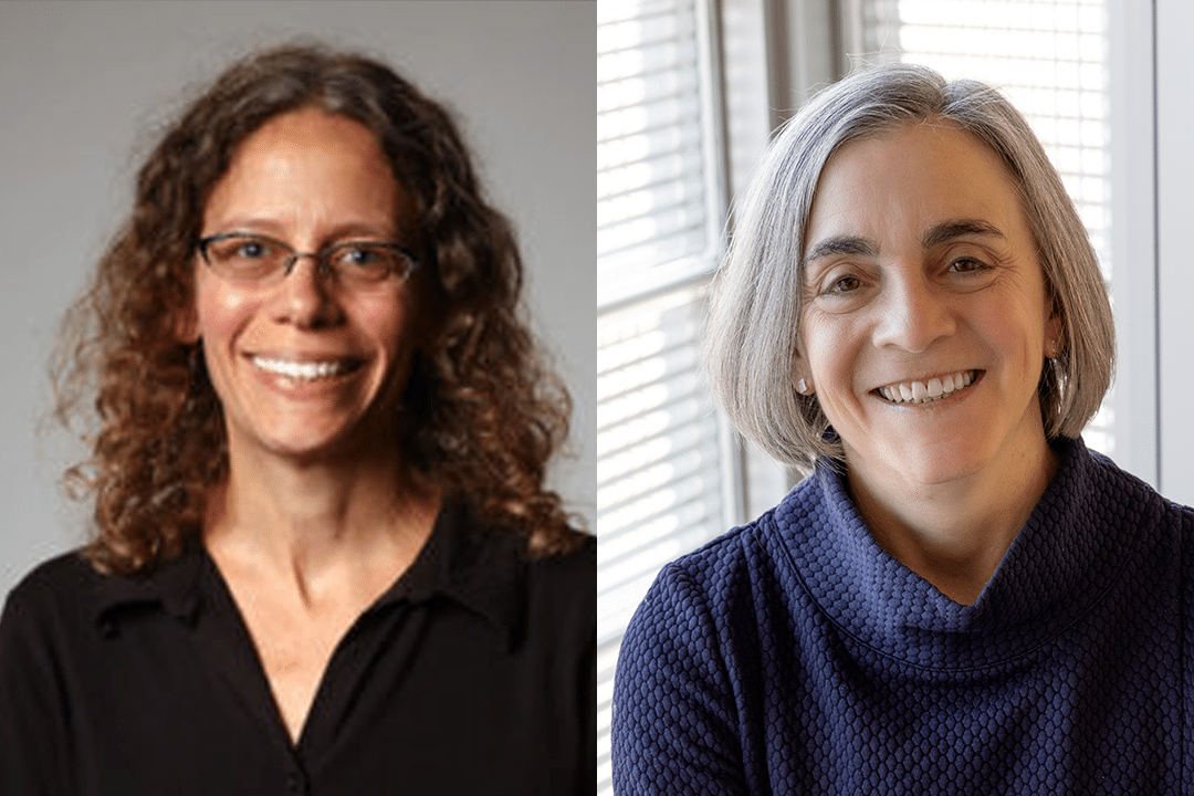 Identifying, engaging, and supporting care partners in primary care settings: a portal-based intervention